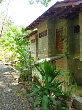 Hotel Luz De Mono Montezuma Exterior foto